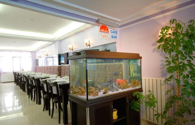 Yuva Hotel Kilyos Extérieur photo